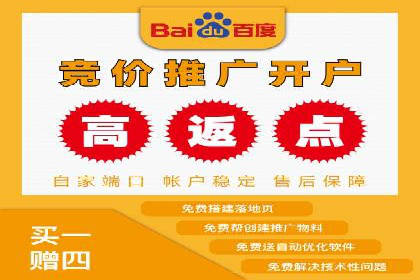短视频平台的SEM推广实践与效果